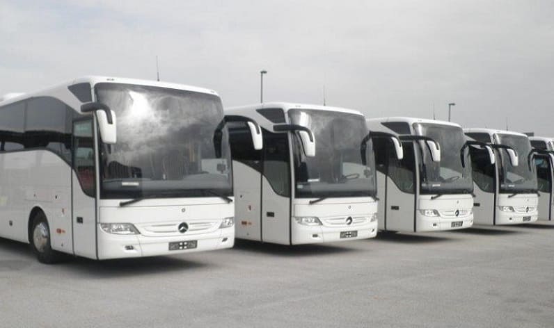 Czech Republic: Bus company in Olomouc in Olomouc and Czech Republic