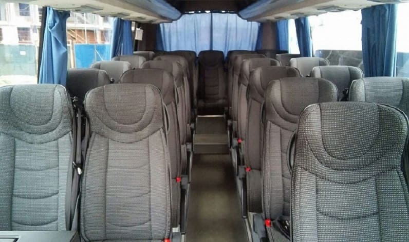 Poland: Coach hire in Silesian in Silesian and Pyskowice