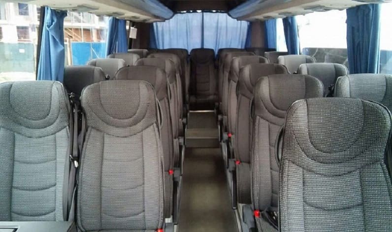 Poland: Coach hire in Silesian in Silesian and Czerwionka-Leschczin