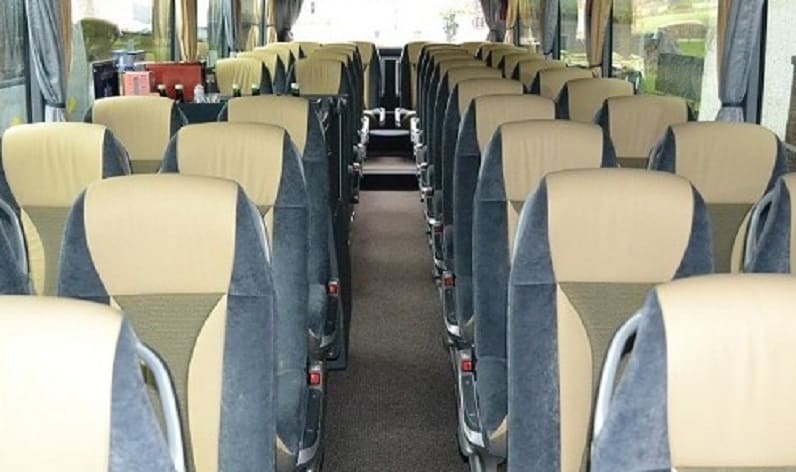 Poland: Coach operator in Silesian in Silesian and Jastrzębie-Zdrój